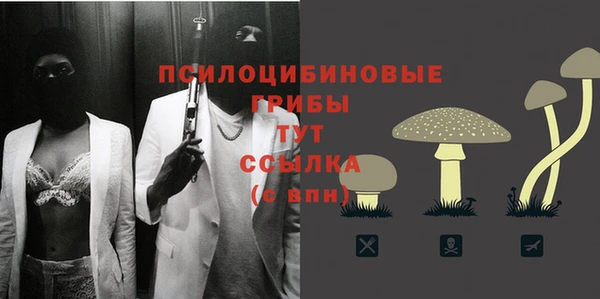 2c-b Нефтегорск